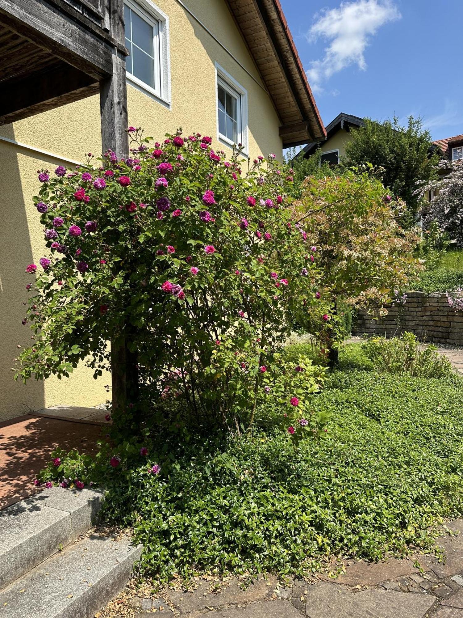 Apartamento Meywohnen Bad Endorf Exterior foto